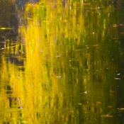 Abstract-Nature-kunstwerk-oranjewoud-0606-191028-6