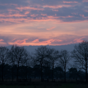 Evening Breeze 1401-3667 Delleboersterheide