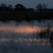 Whispering Water 1403 - 3645 #Delleboersterheide, Oldeberkoop